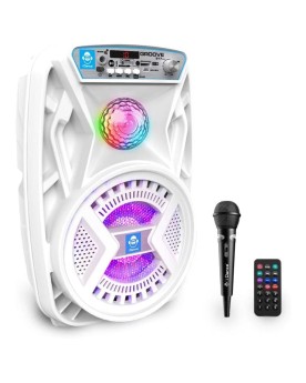 Enceinte iDance Groove 217V2 + micro inclus
