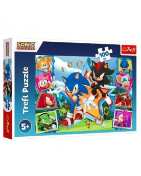 Puzzle - Sonic - 100pcs
